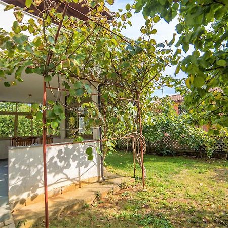 Villa Aleksandar פורץ מראה חיצוני תמונה