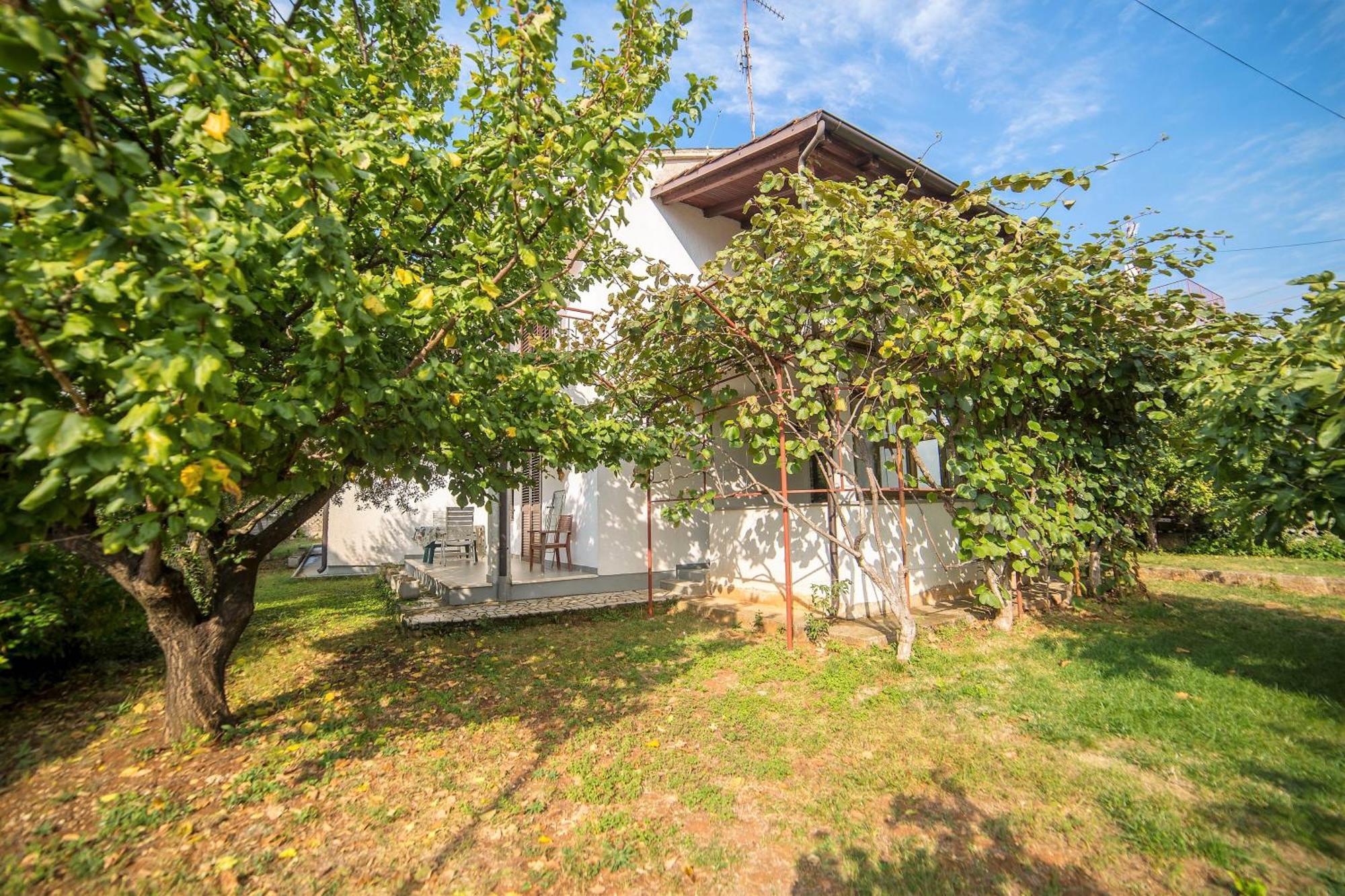 Villa Aleksandar פורץ מראה חיצוני תמונה